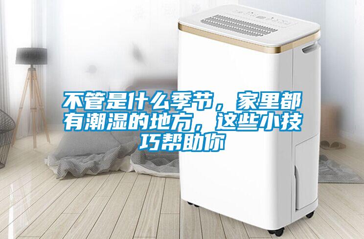 不管是什么季节，家里都有潮湿的地方，这些小技巧帮助你