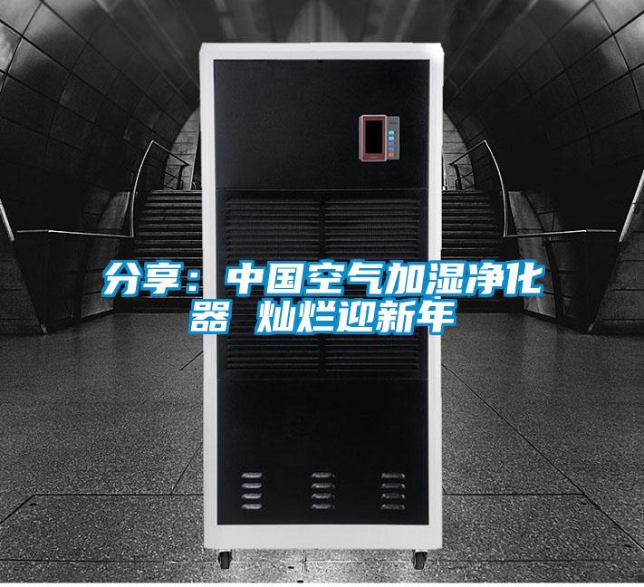分享：中国空气加湿净化器 灿烂迎新年
