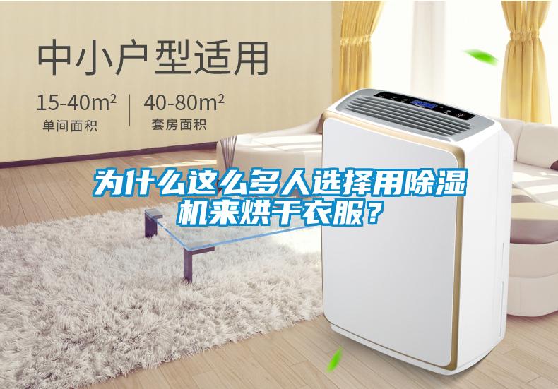 为什么这么多人选择用除湿机来烘干衣服？