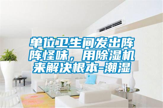 单位卫生间发出阵阵怪味，用除湿机来解决根本-潮湿