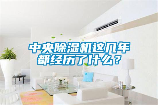 中央除湿机这几年都经历了什么？