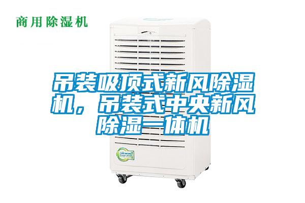 吊装吸顶式新风除湿机，吊装式中央新风除湿一体机