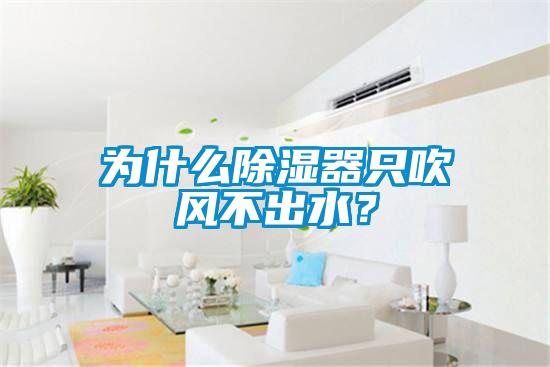 为什么除湿器只吹风不出水？