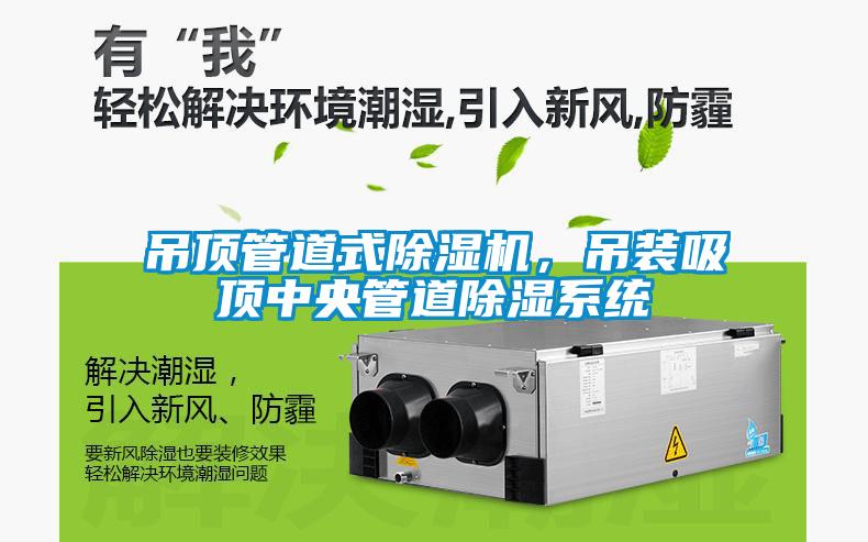 吊顶管道式除湿机，吊装吸顶中央管道除湿系统