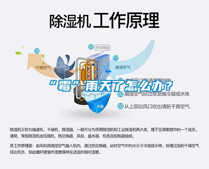 “霉”雨天了怎么办？