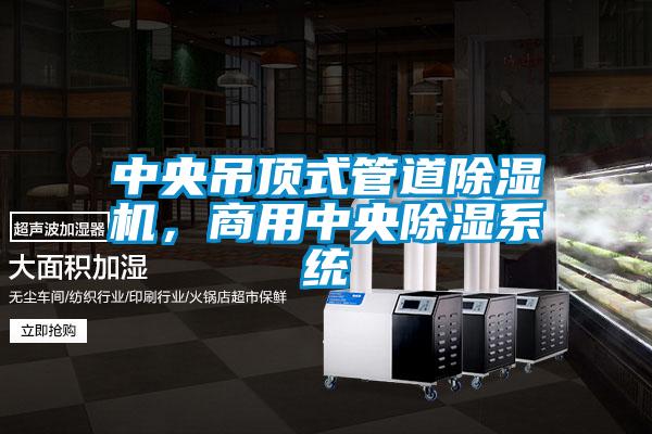 中央吊顶式管道除湿机，商用中央除湿系统