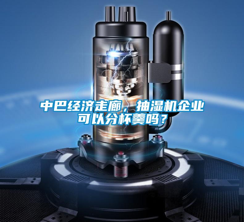 中巴经济走廊，抽湿机企业可以分杯羹吗？