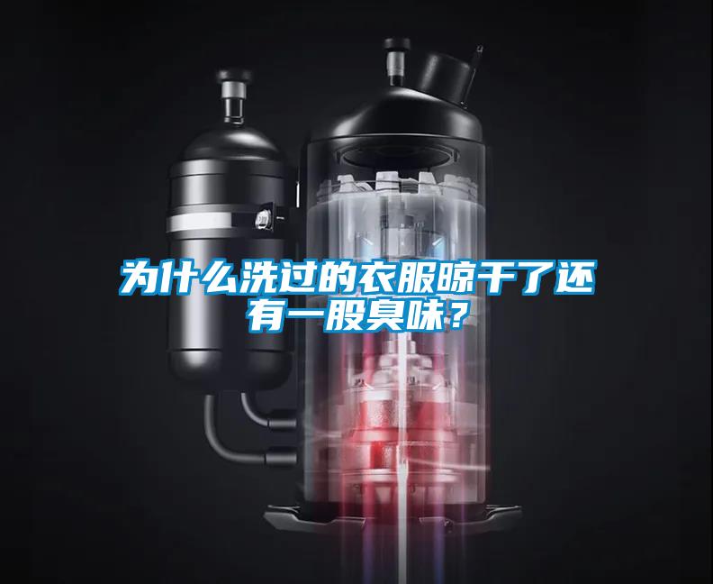 为什么洗过的衣服晾干了还有一股臭味？