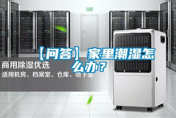 【问答】家里潮湿怎么办？