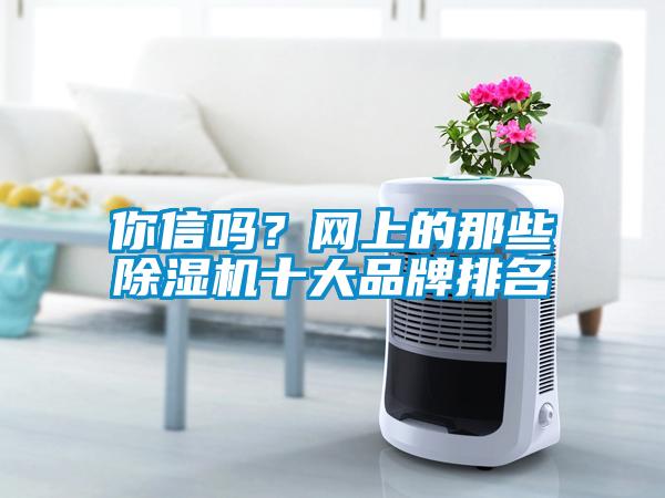 你信吗？网上的那些除湿机十大品牌排名