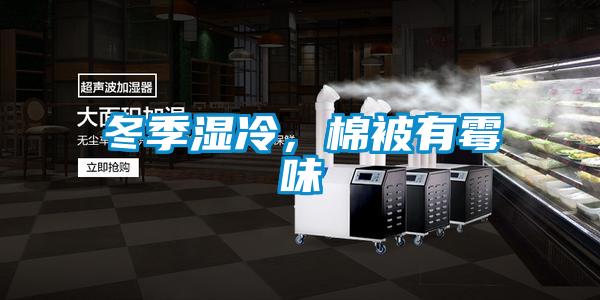 冬季湿冷，棉被有霉味