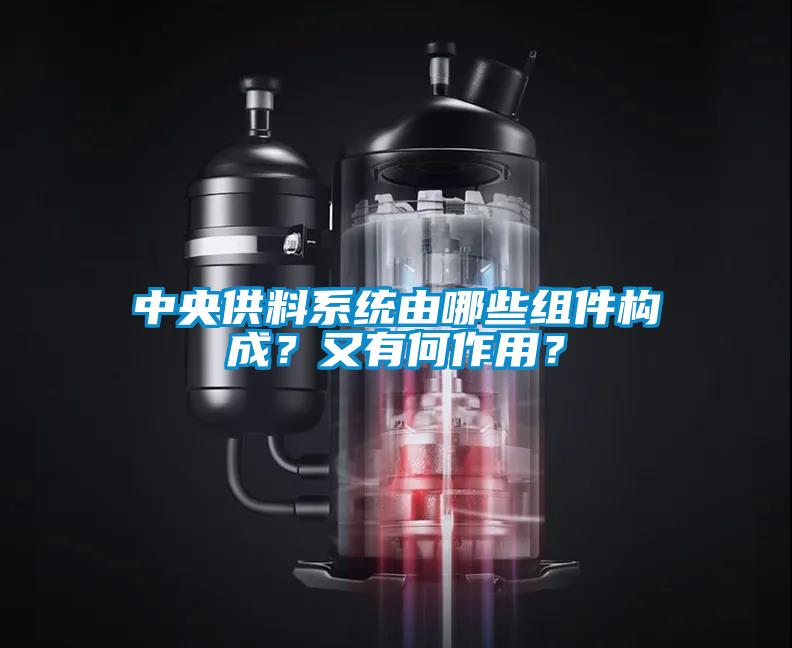 中央供料系统由哪些组件构成？又有何作用？