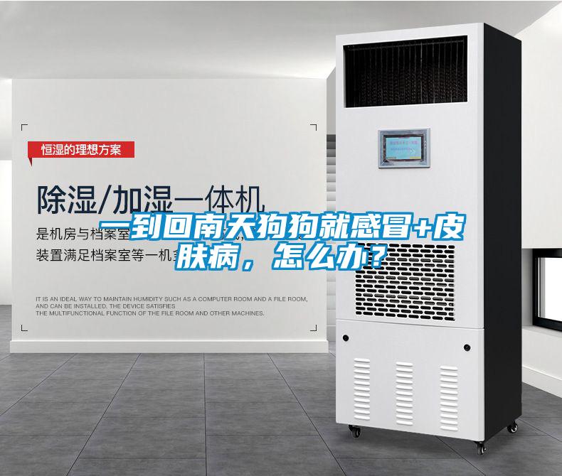 一到回南天狗狗就感冒+皮肤病，怎么办？