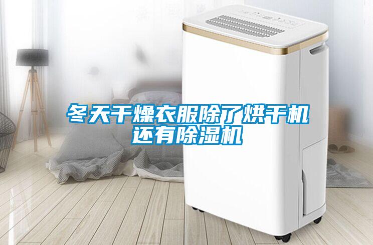 冬天干燥衣服除了烘干机还有除湿机