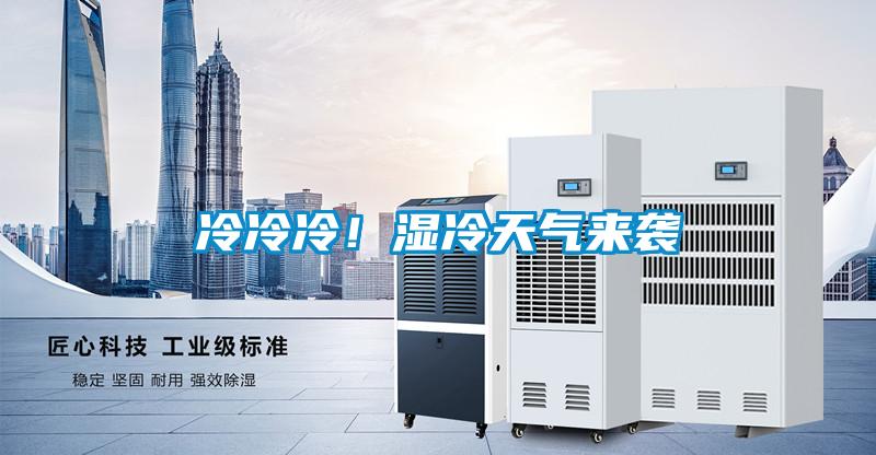 冷冷冷！湿冷天气来袭