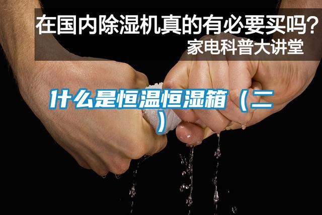 什么是恒温恒湿箱（二)