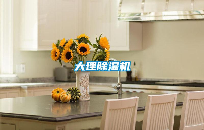 大理除湿机