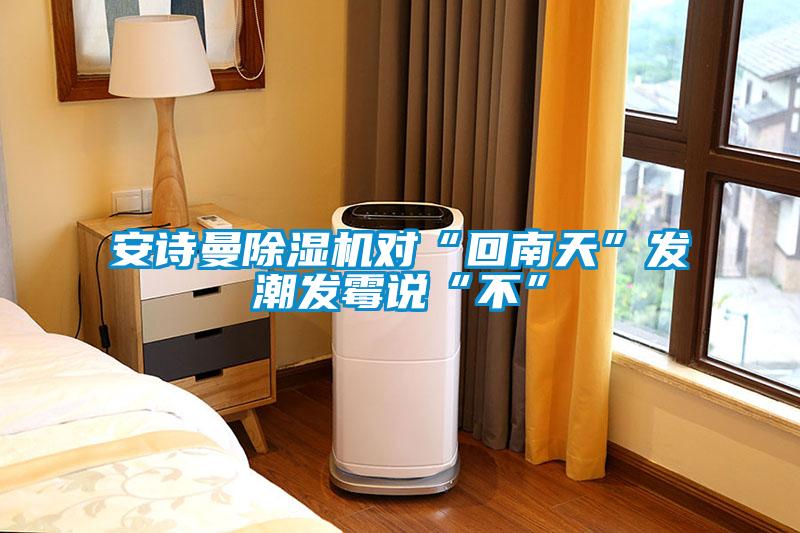 安诗曼除湿机对“回南天”发潮发霉说“不”