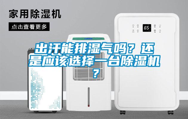 出汗能排湿气吗？还是应该选择一台除湿机？