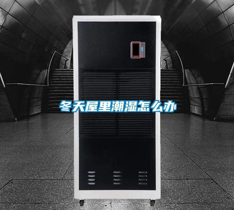 冬天屋里潮湿怎么办