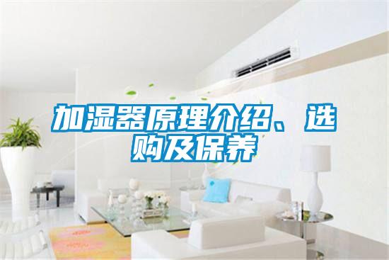 加湿器原理介绍、选购及保养