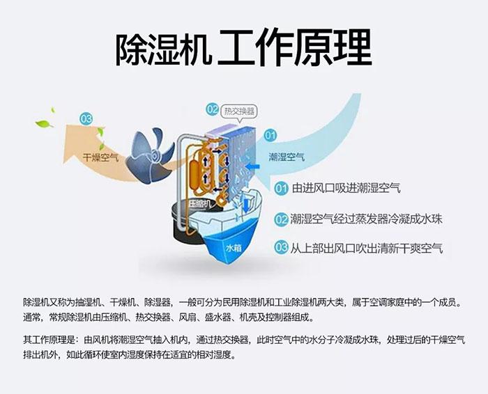 南北之争：南方的湿冷比北方的干冷更变态？
