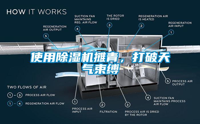 使用除湿机摊青，打破天气束缚