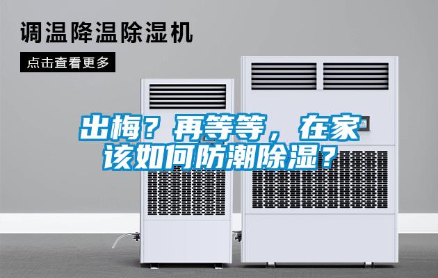 出梅？再等等，在家该如何防潮除湿？