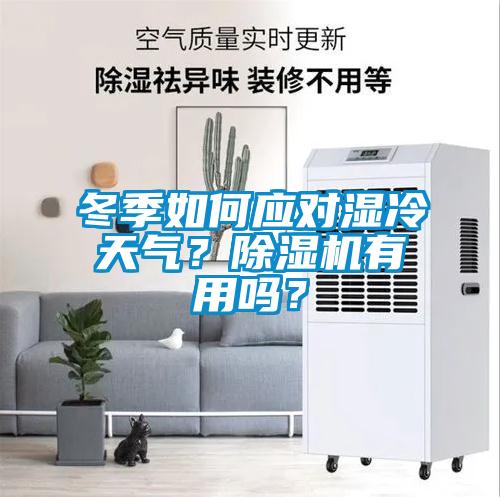 冬季如何应对湿冷天气？除湿机有用吗？
