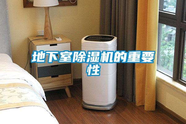 地下室除湿机的重要性