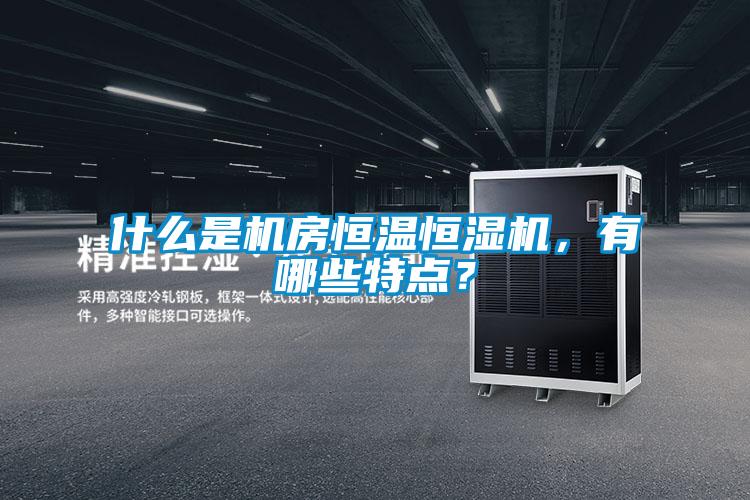 什么是机房恒温恒湿机，有哪些特点？
