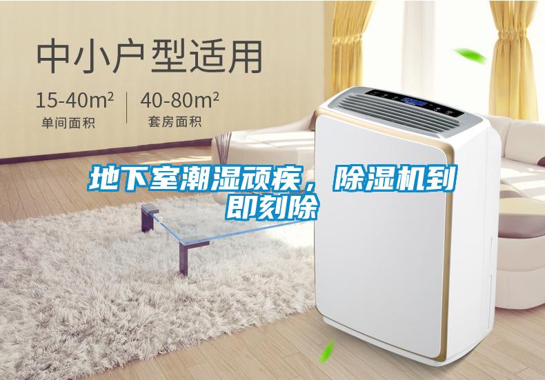 地下室潮湿顽疾，除湿机到即刻除
