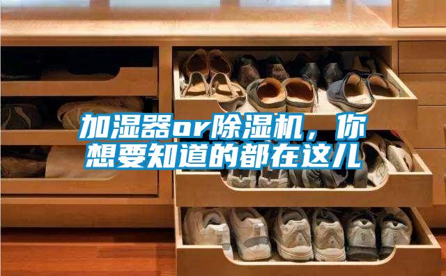 加湿器or除湿机，你想要知道的都在这儿