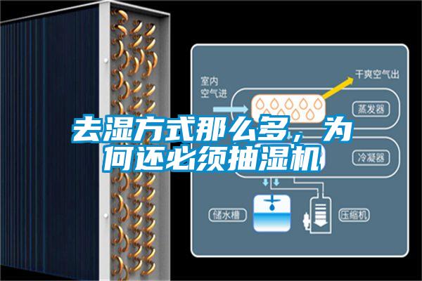 去湿方式那么多，为何还必须抽湿机