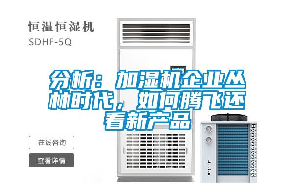 分析：加湿机企业丛林时代，如何腾飞还看新产品