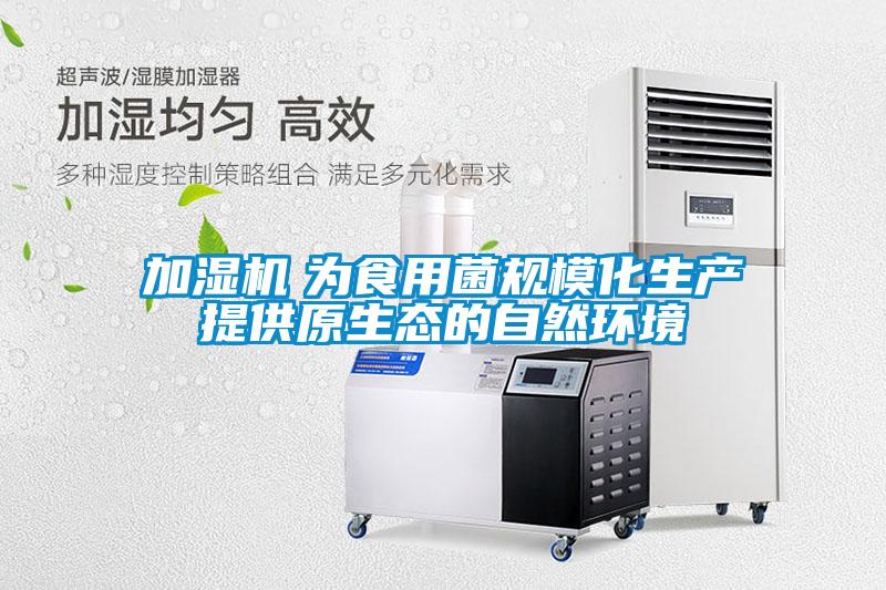 加湿机　为食用菌规?；峁┰淖匀换肪?/></p>
						    <p style=