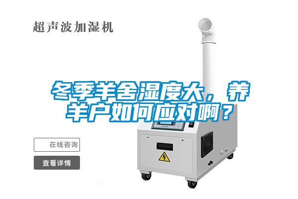 冬季羊舍湿度大，养羊户如何应对??？
