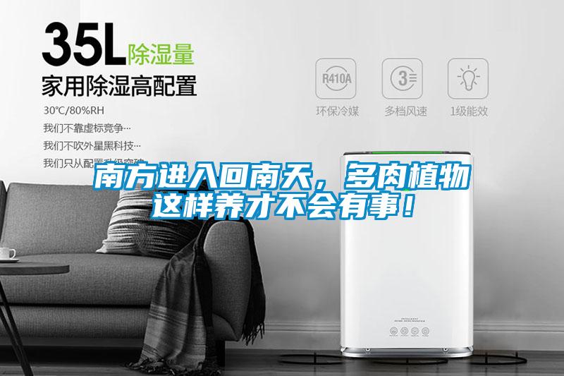 南方进入回南天，多肉植物这样养才不会有事！