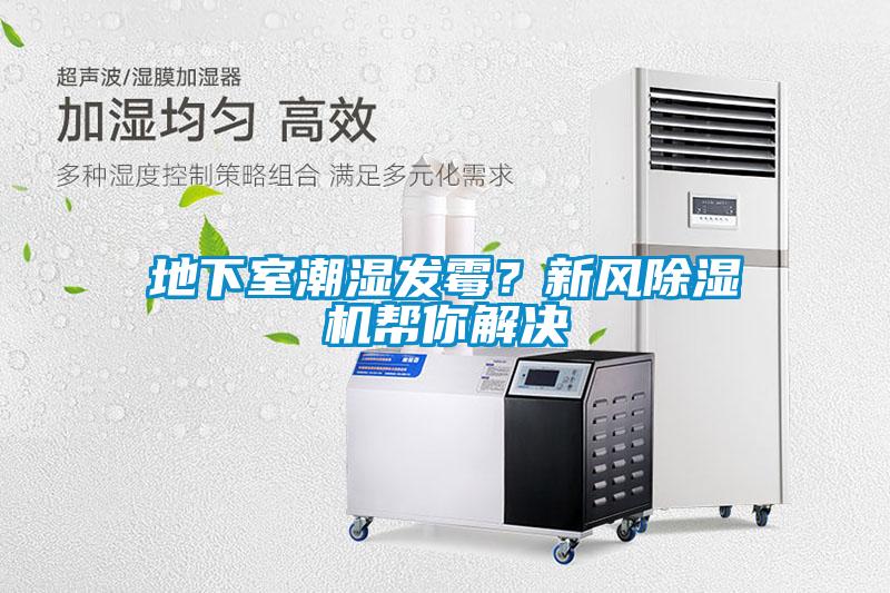 地下室潮湿发霉？新风除湿机帮你解决