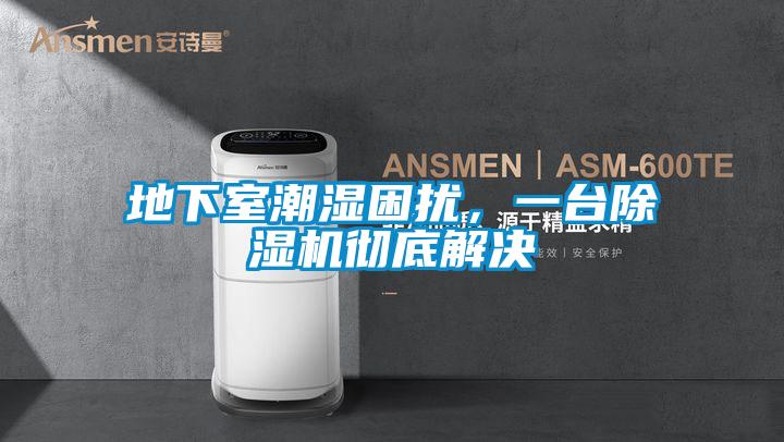 地下室潮湿困扰，一台除湿机彻底解决