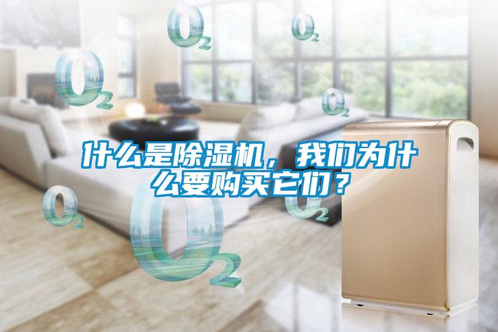 什么是除湿机，我们为什么要购买它们？