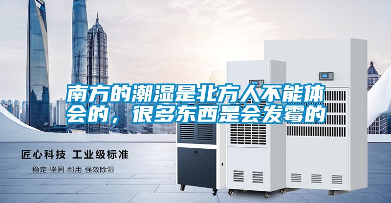 南方的潮湿是北方人不能体会的，很多东西是会发霉的