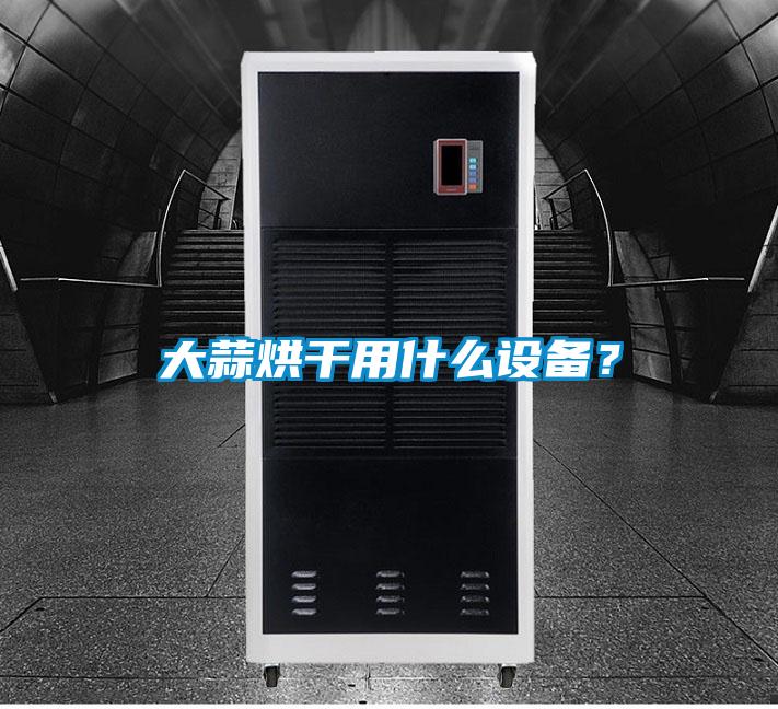 大蒜烘干用什么设备？