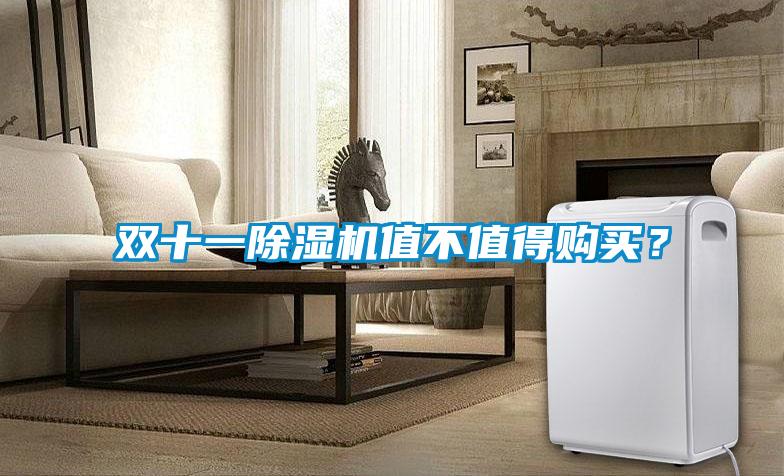 双十一除湿机值不值得购买？