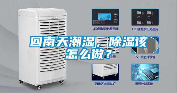 回南天潮湿，除湿该怎么做？