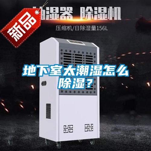 地下室太潮湿怎么除湿？