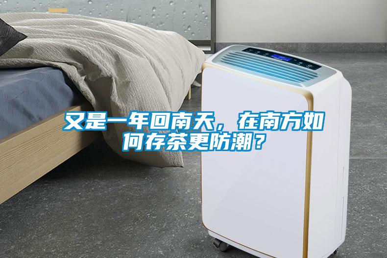 又是一年回南天，在南方如何存茶更防潮？