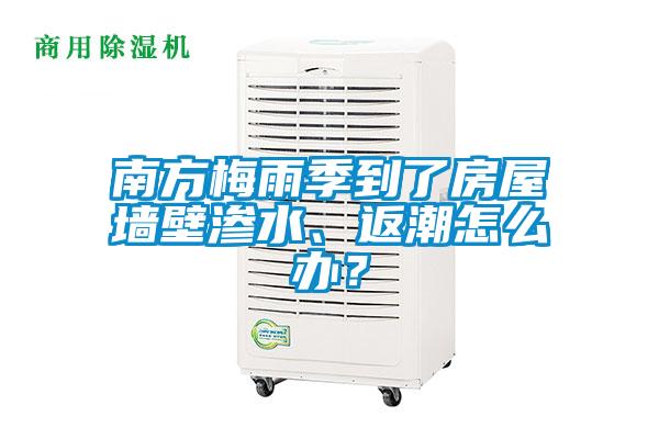 南方梅雨季到了房屋墙壁渗水、返潮怎么办？