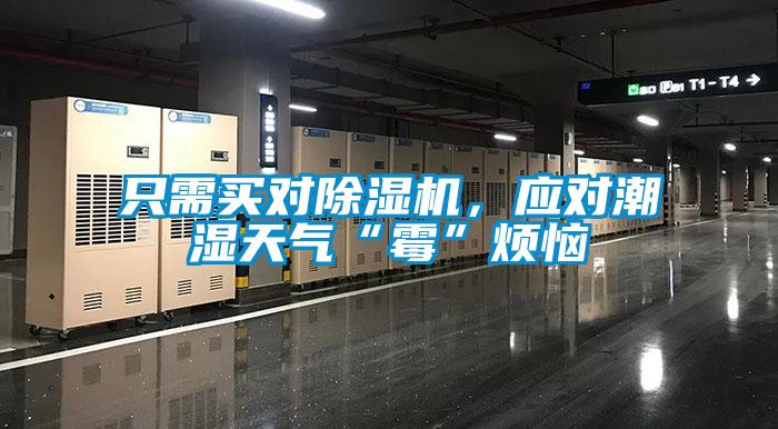 只需買對除濕機，應對潮濕天氣“霉”煩惱