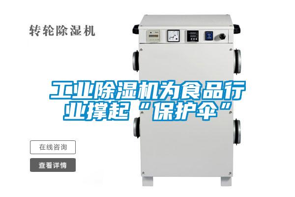 工业除湿机为食品行业撑起“?；ど　?/></p>
						    <p style=
